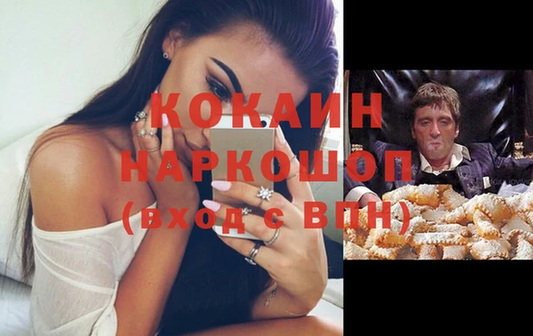 индика Армянск