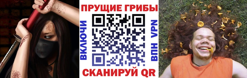 дарнет шоп  Нея  Галлюциногенные грибы ЛСД 